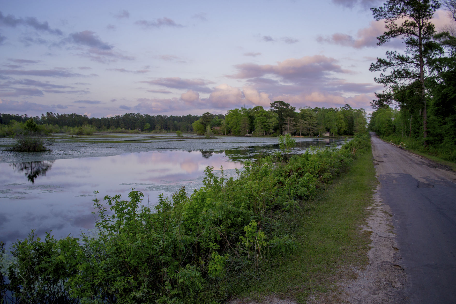 Watson Rare Native Plant Preserve